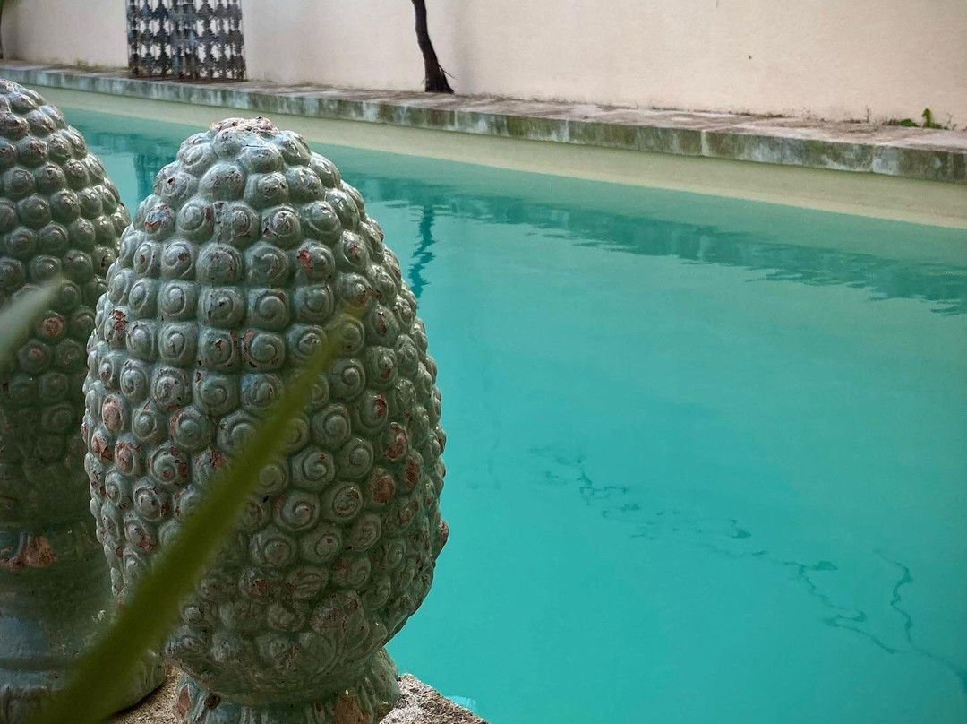 Mas à l'Improviste主图