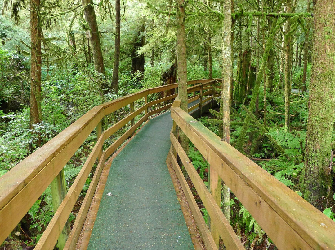 Alaska Rainforest Sanctuary景点图片