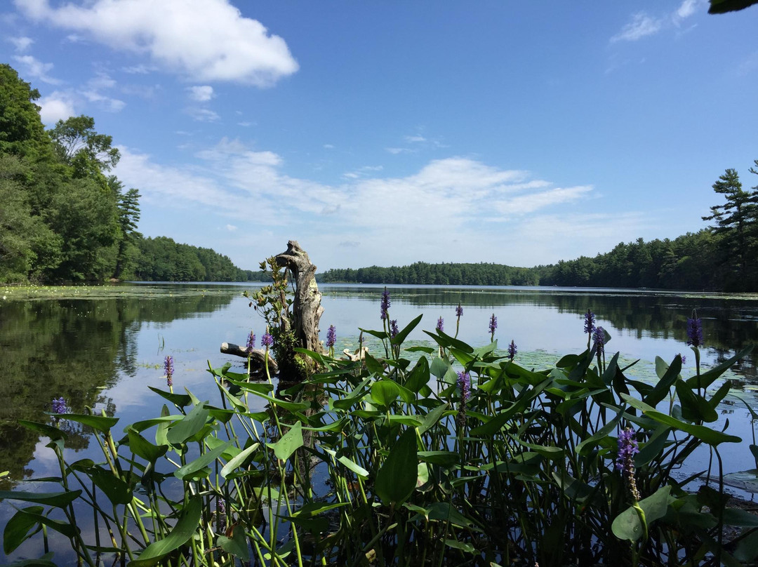 Whitehall State Park