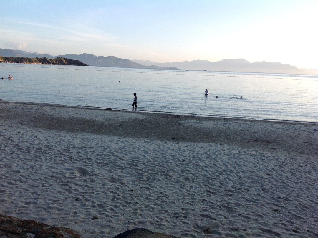 Tuoi Tre Viet-岘港必去景点