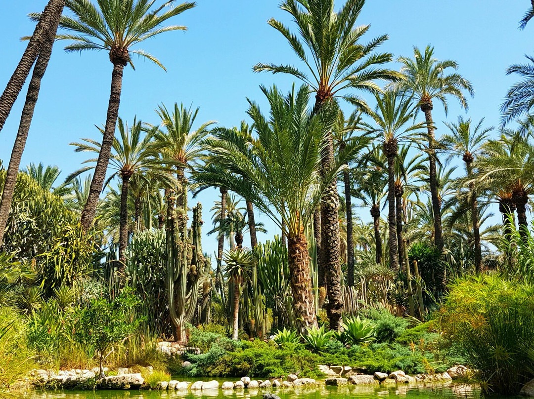 Jardín Artístico Nacional Huerto Del Cura景点图片