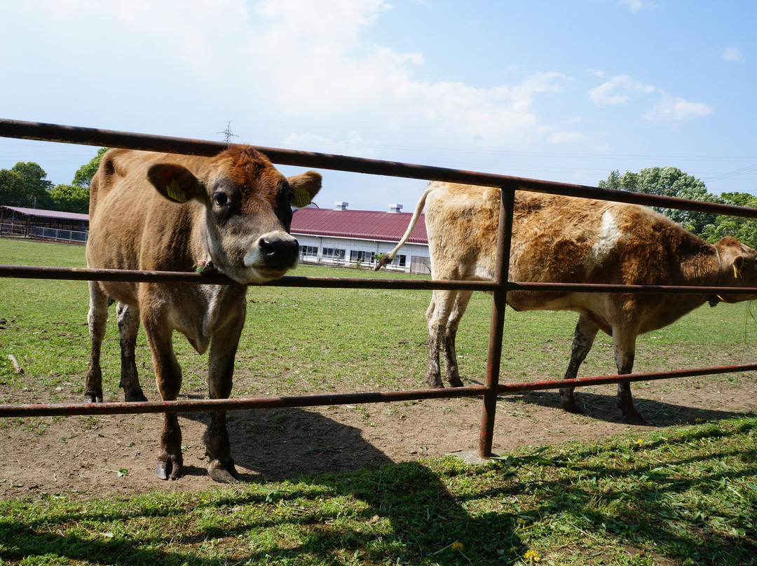 Kyoshin Farm-小野市必去景点