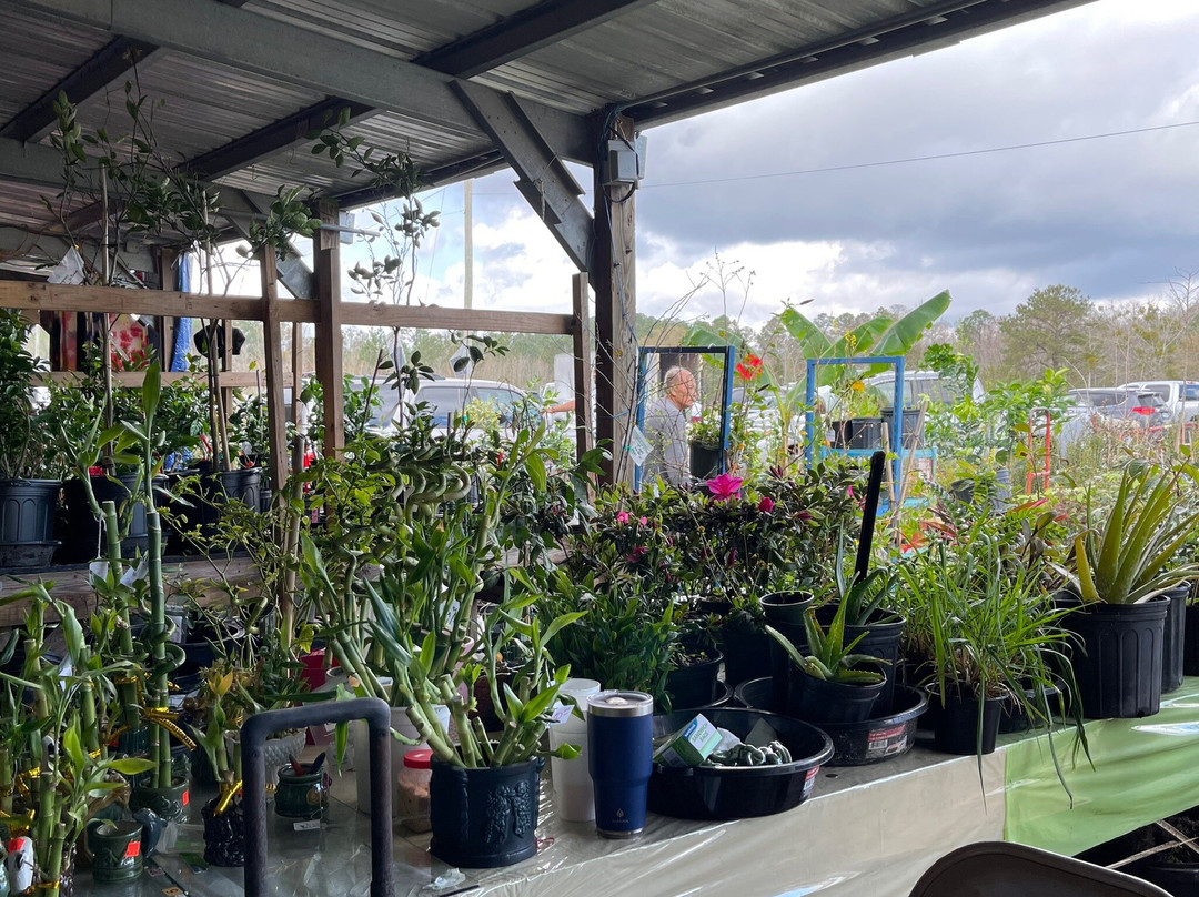 Flea Market Mobile景点图片