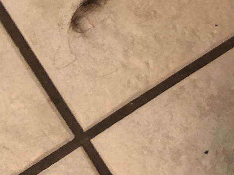 Express Inn and Suites