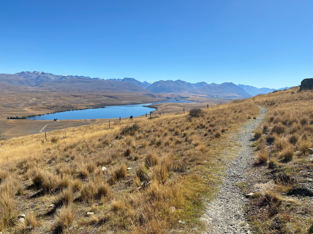 Mount John Summit Circuit Track景点图片