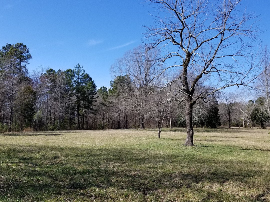 Cowpens National Battlefield景点图片