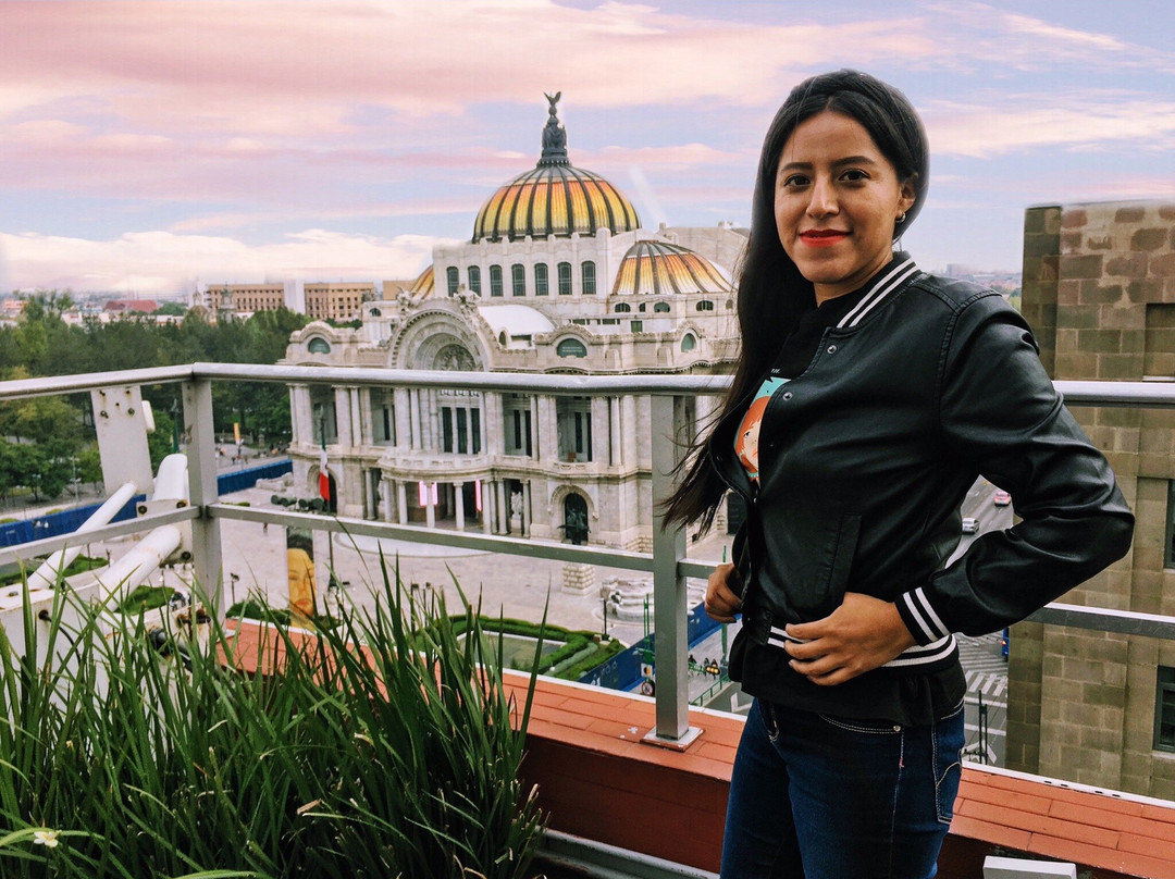 Historic Center (Centro Historico)-墨西哥城必去景点