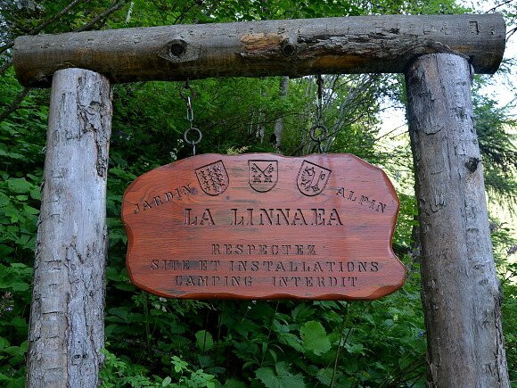 Jardin alpin La Linnaea景点图片