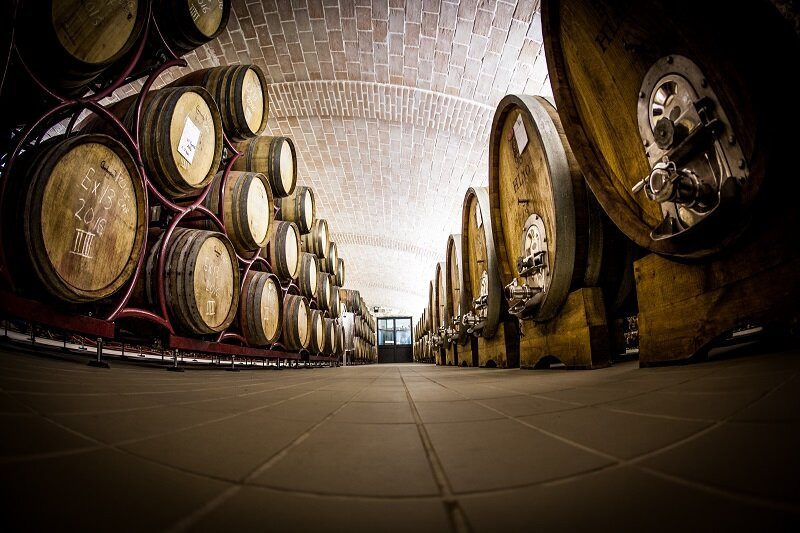 Olivi Le Buche Winery景点图片