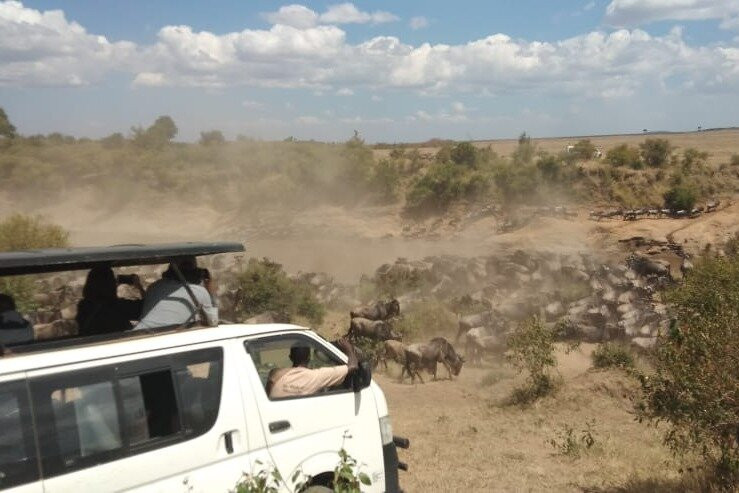 Masai Mara Holidays景点图片