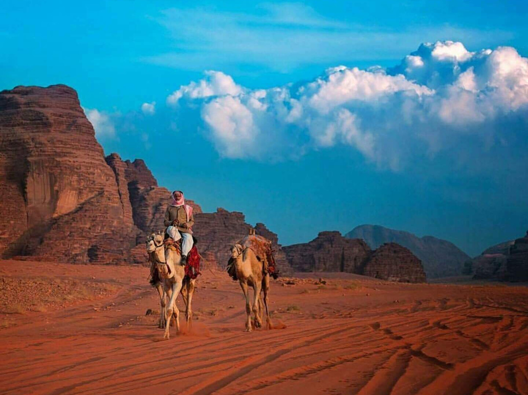 Ammar Rum Camp