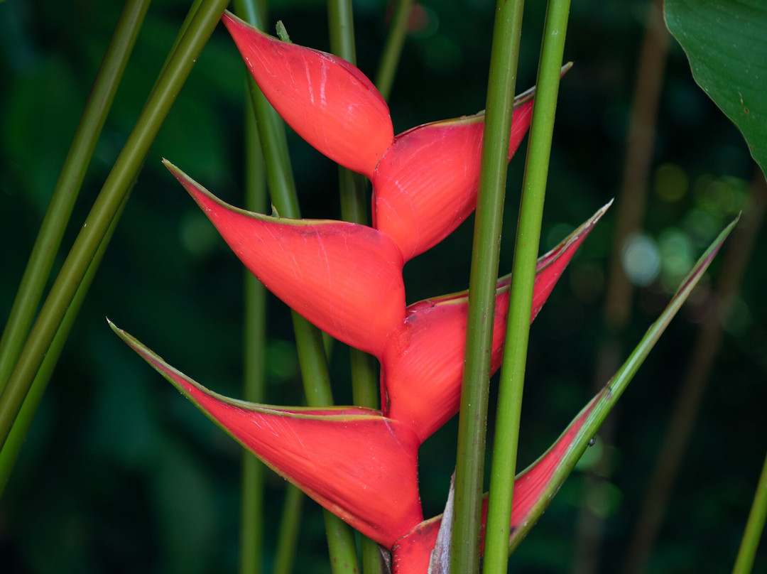 Side by Side ATV Tours & WILD LIFE-塔马林多必去景点