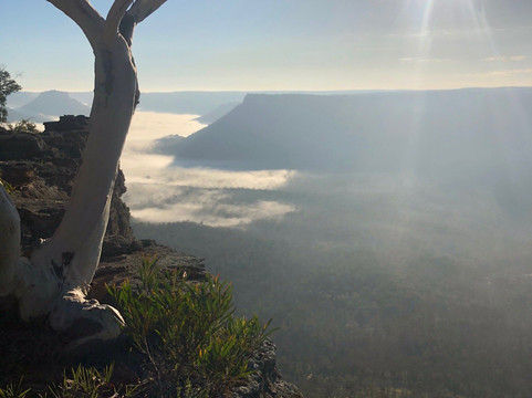 Adrenalin Off Road Tours-悉尼必去景点