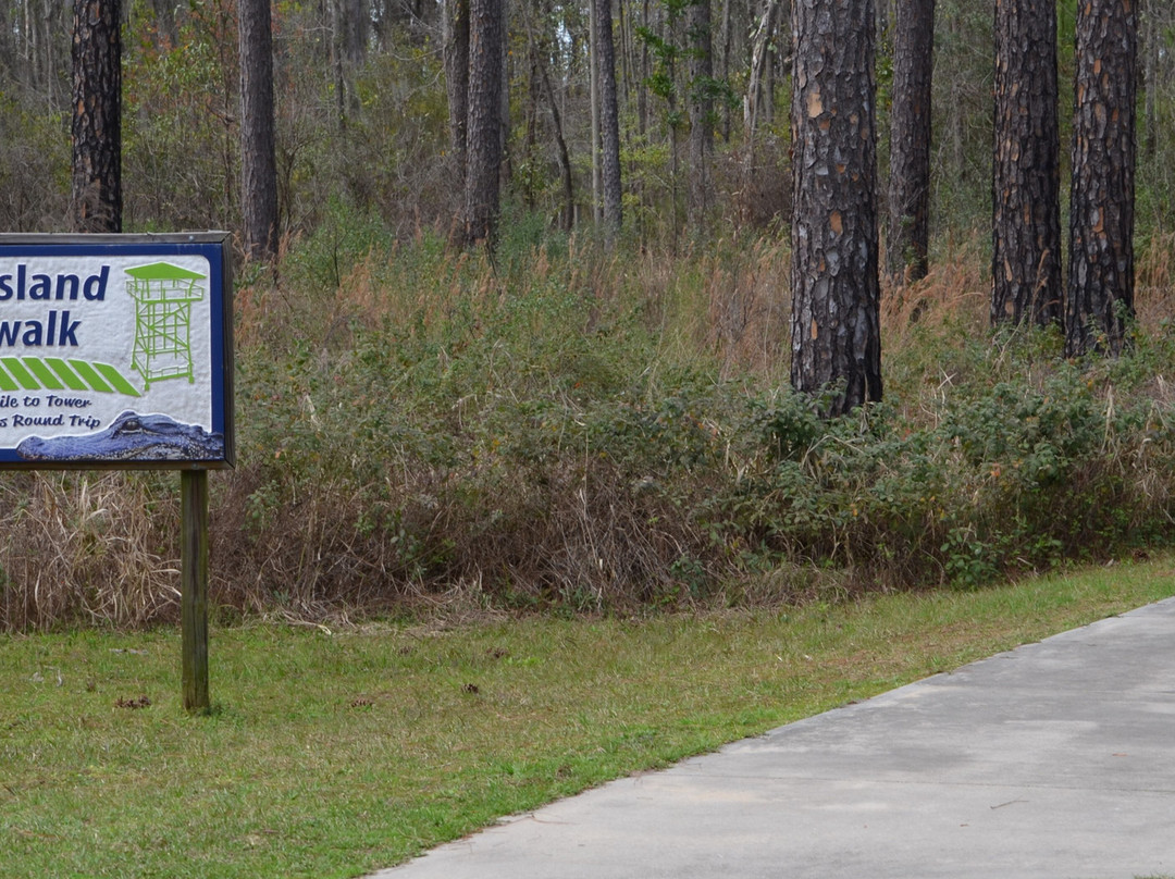 Chesser Island Homestead/Boardwalk-Folkston必去景点