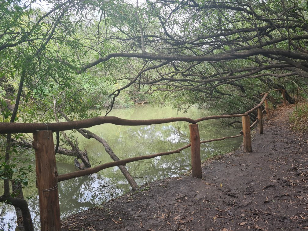 Termas de Guaychu景点图片