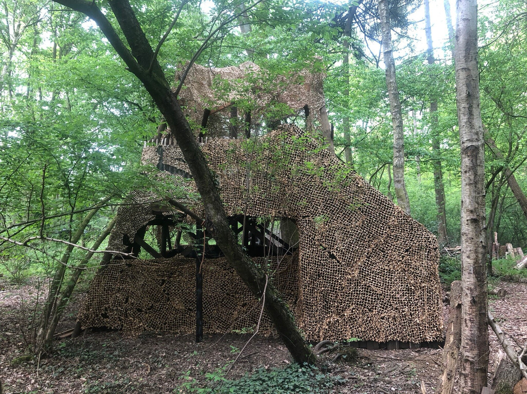 Red-Fox Paintball Aarschot-Rillaar必去景点