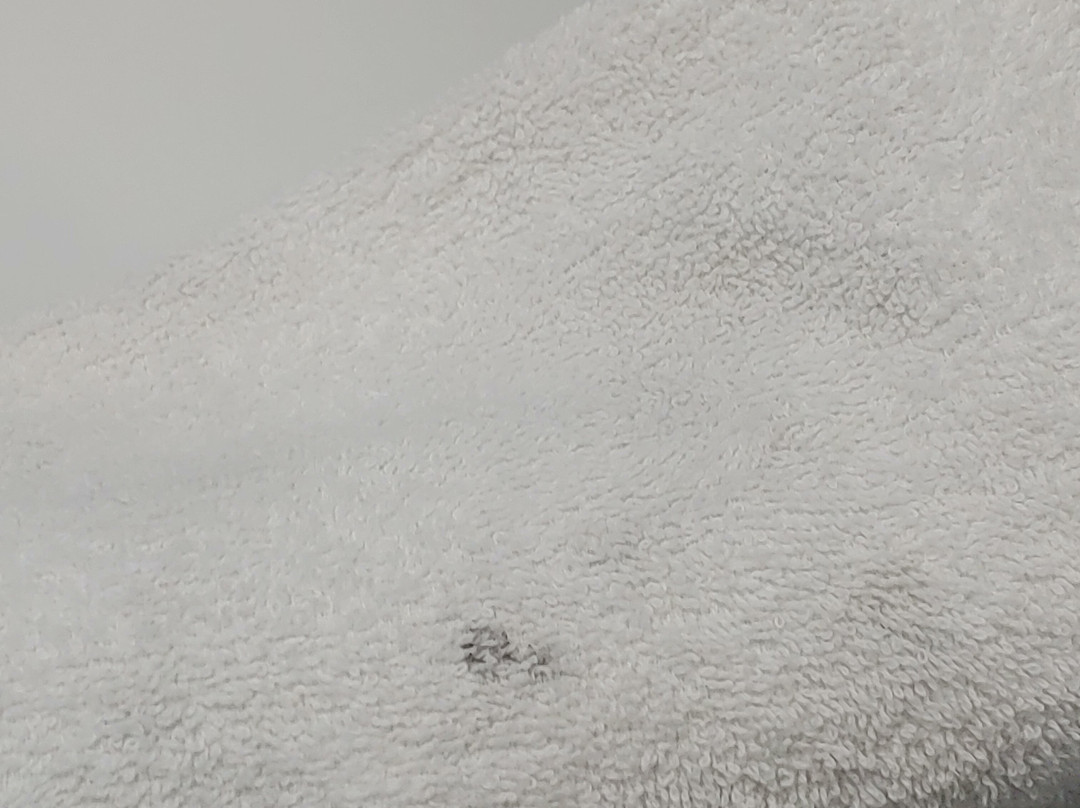 Sun Plaza Motel主图