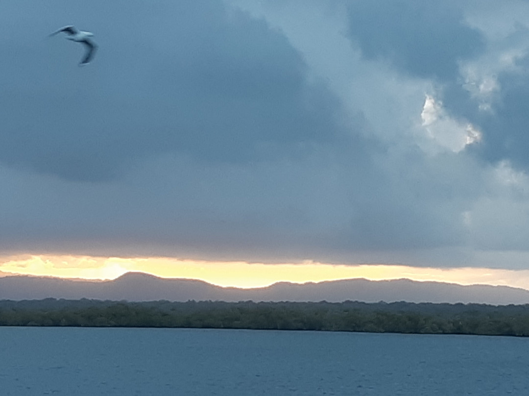 Coomera Houseboat Holidays-库梅拉必去景点