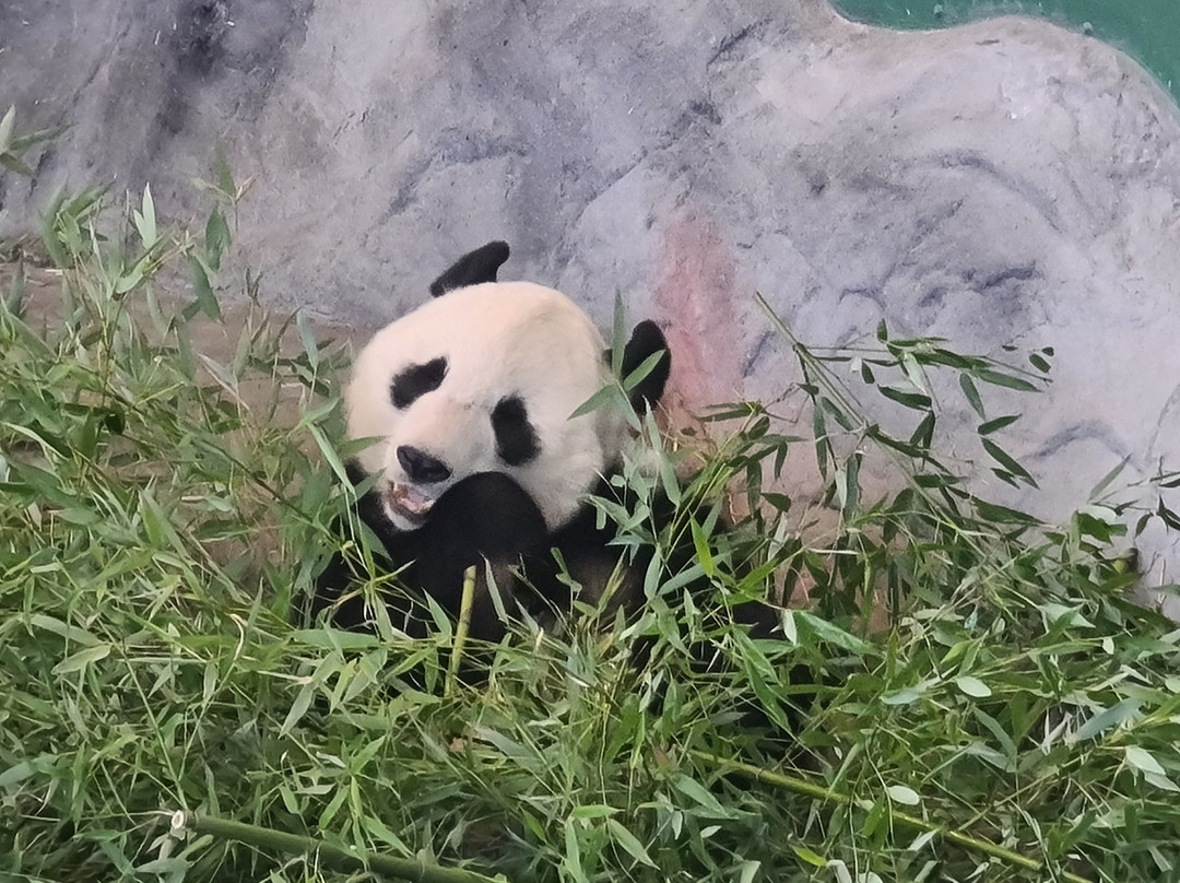 Ahtari Zoo-Ähtäri必去景点