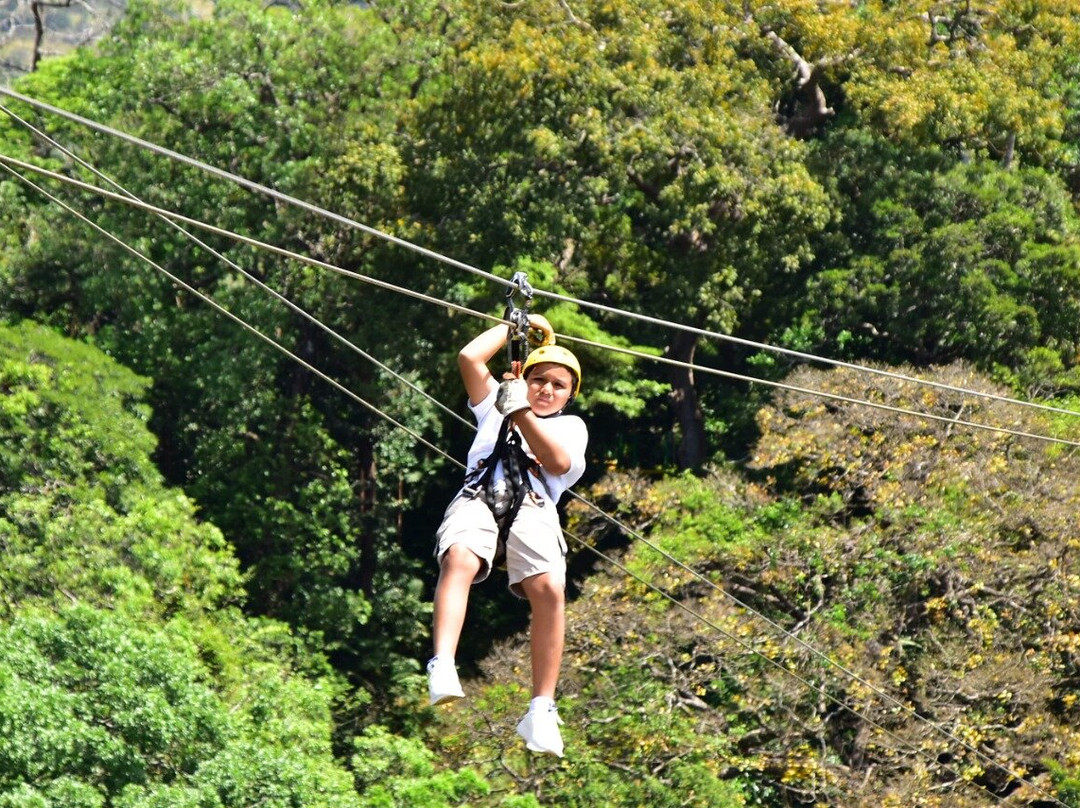 Costa Rica Tours VIP景点图片