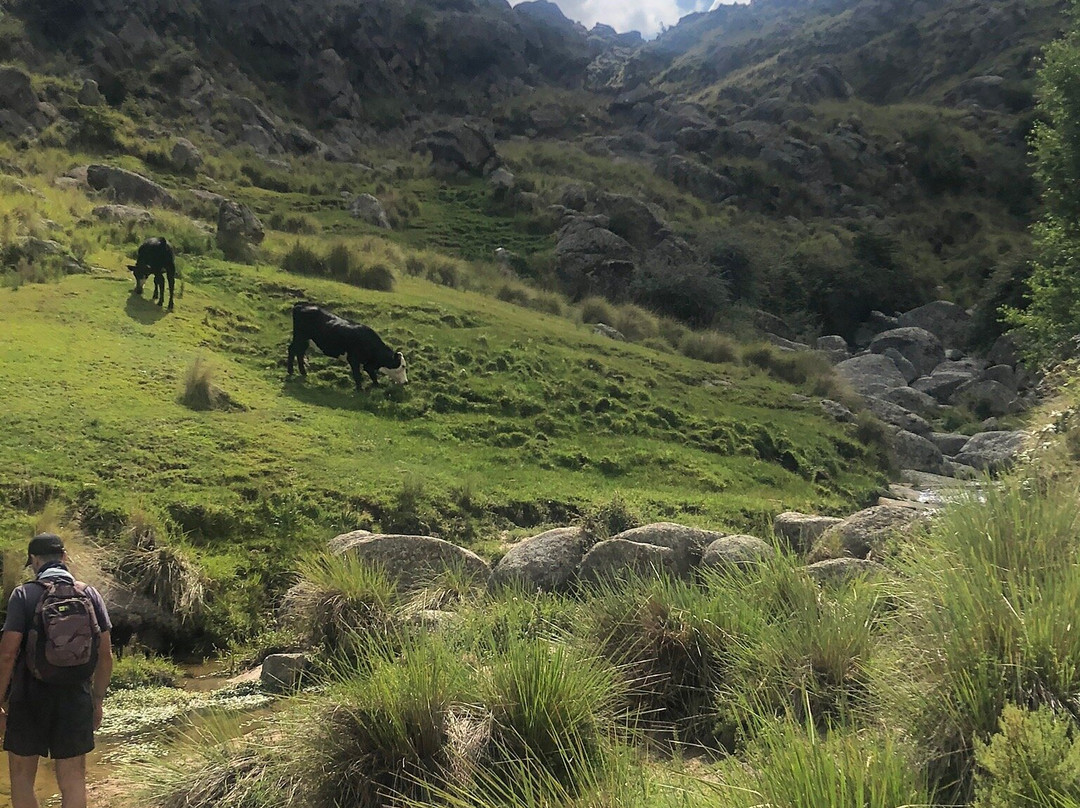 Cerro Wank景点图片