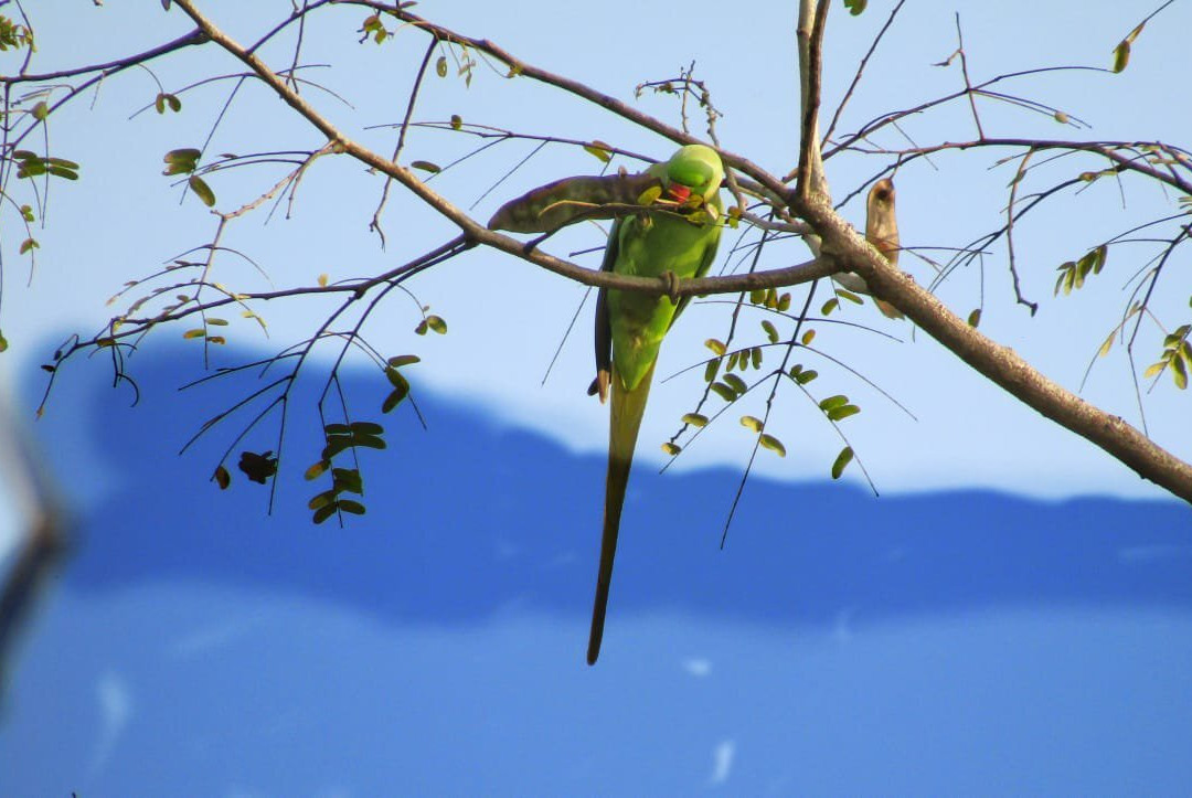 Venna Agro Tourism主图