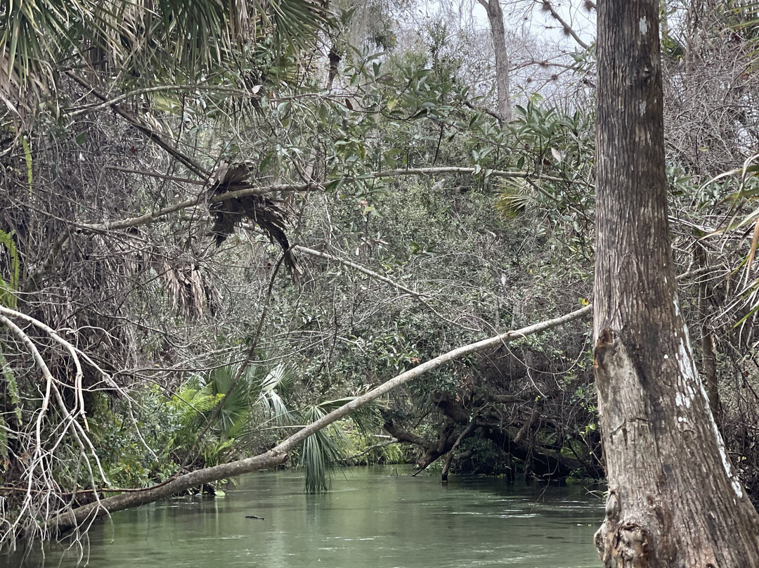 Get Up And Go Kayaking - Rock Springs-Apopka必去景点