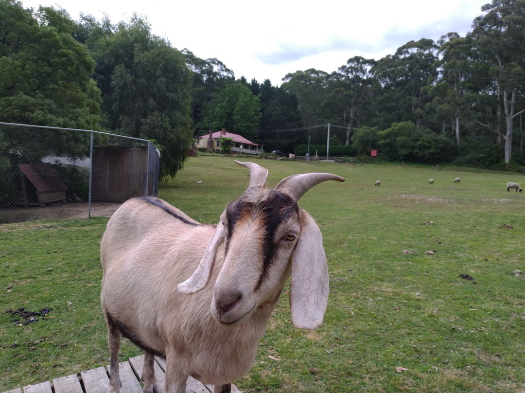 Morvern Valley Guesthouses主图