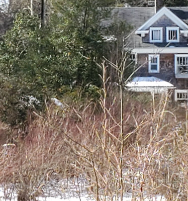 Whitesbog Village-Browns Mills必去景点