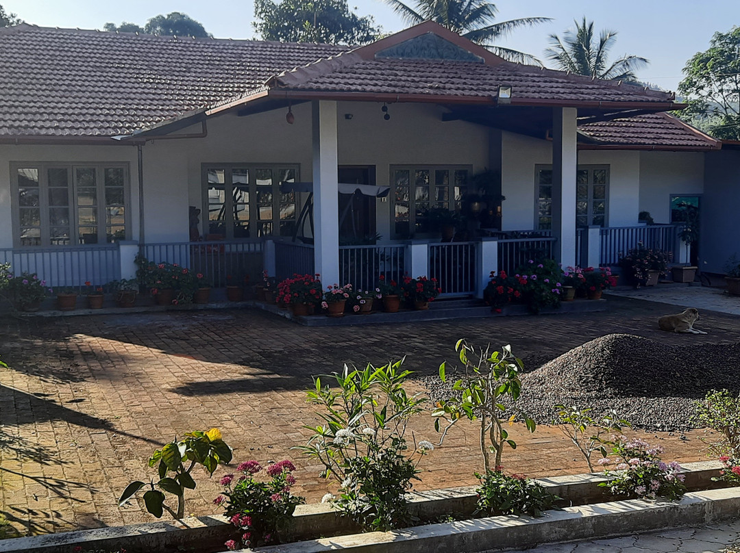 Coffee Valley Homestay主图