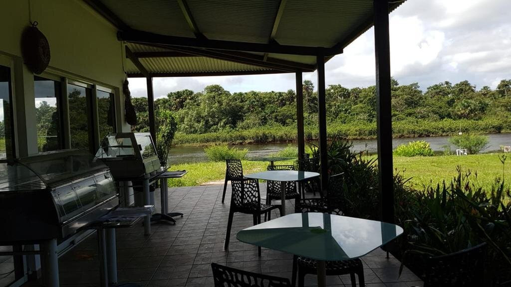 L'oiseau de Paradis主图