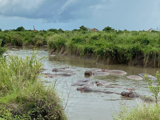 Rhino Explorer Tours & Safaris-Mto wa Mbu必去景点