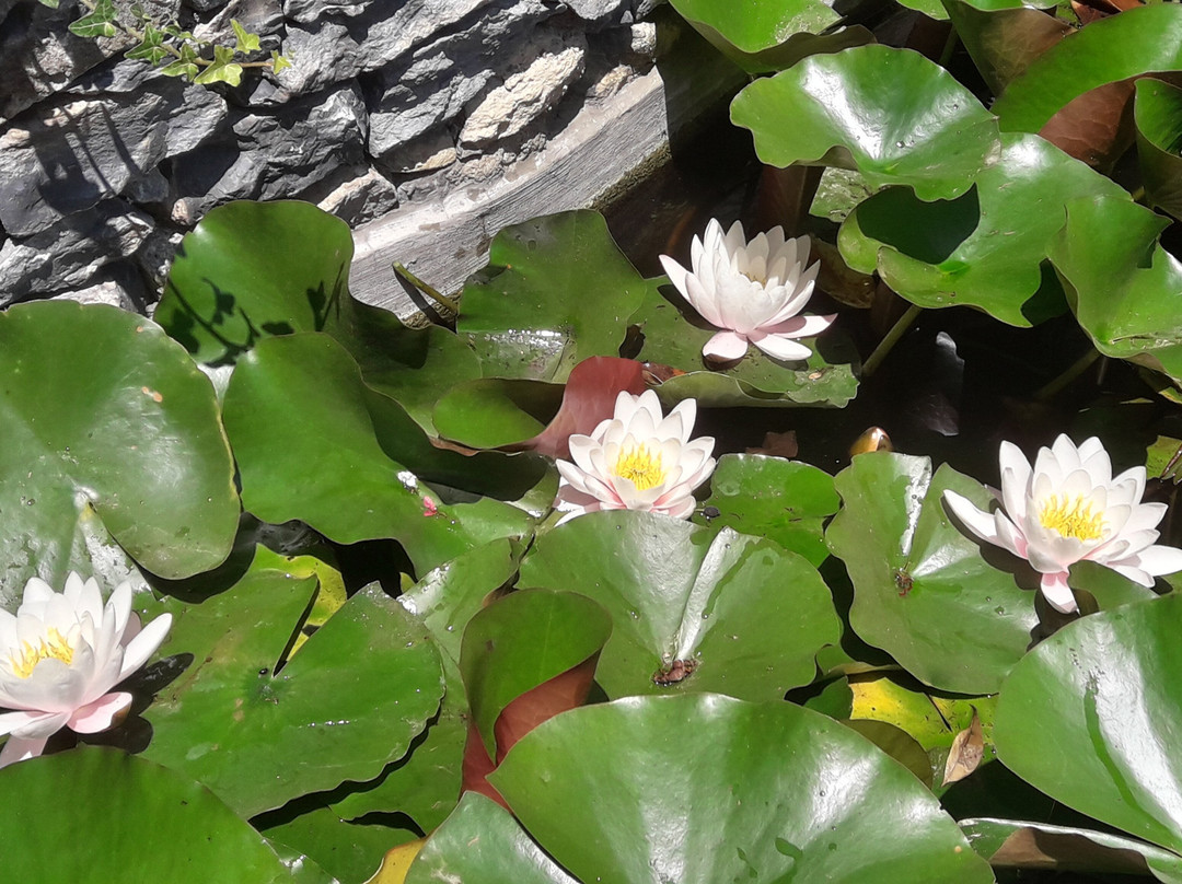 Casa Santo Stefano主图