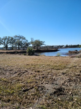 Gulf Hills Hotel & Resort主图