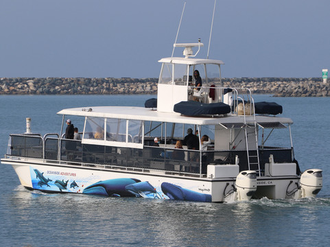 Oceanside Adventures-欧申赛德必去景点