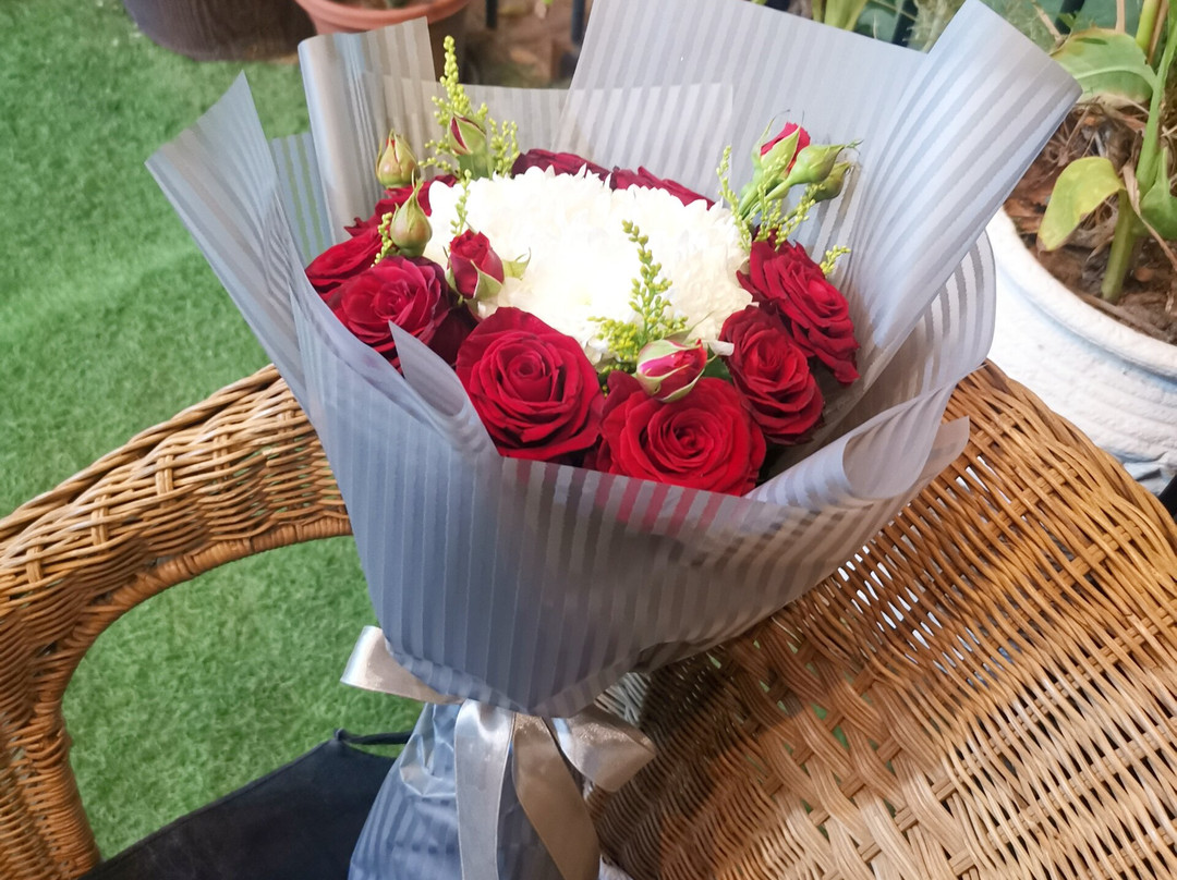 Shams (Aizhar Waifrah)-Tabouk必去景点