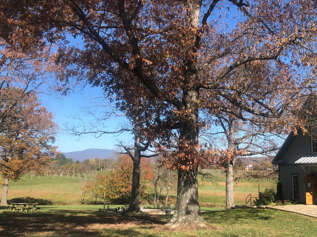 Grace Estate Winery-Crozet必去景点