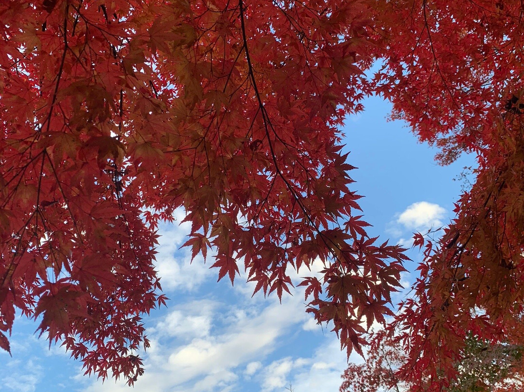 Eigenji-大子町必去景点