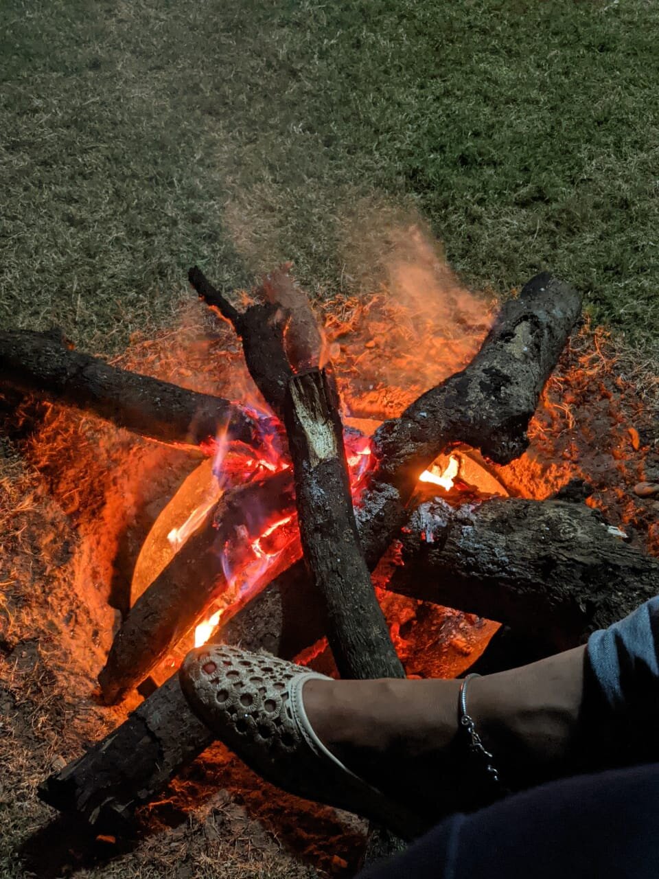 Aagman Sal Forest Lodge-官方