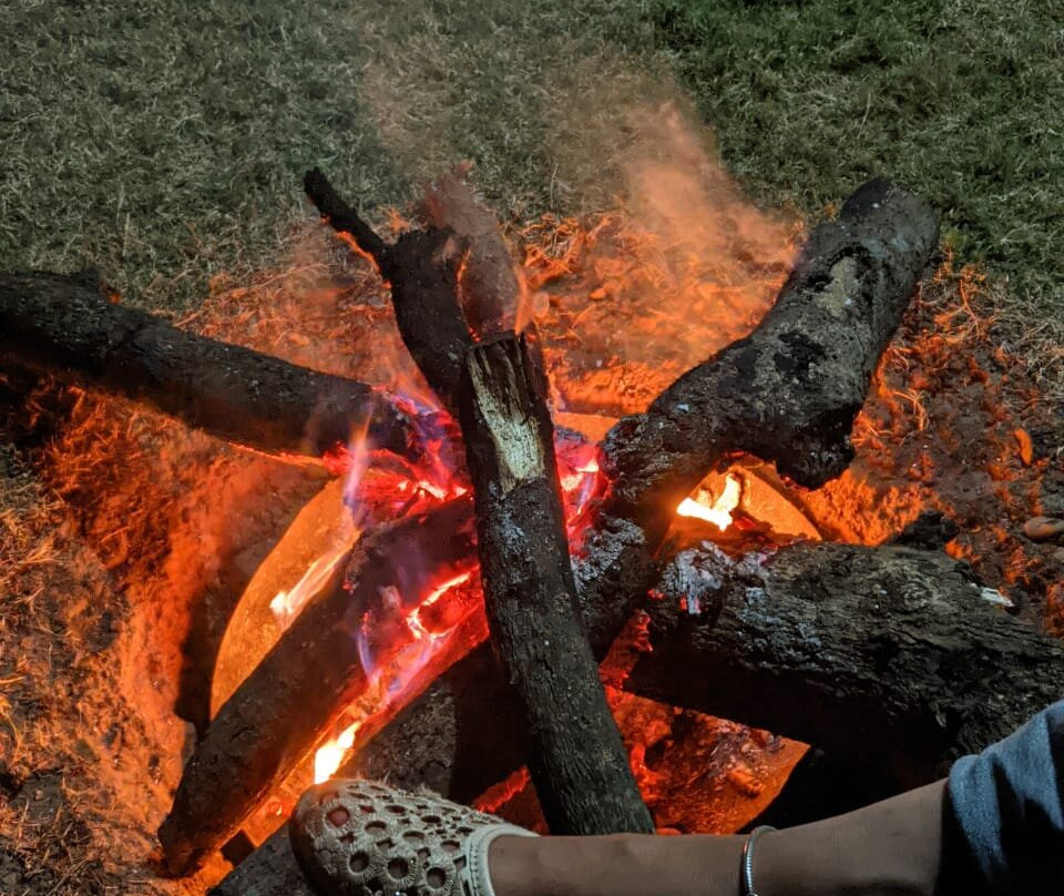 Aagman Sal Forest Lodge主图