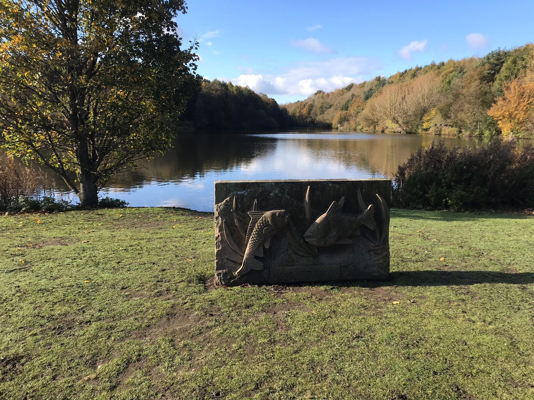Vicar Water Country Park景点图片