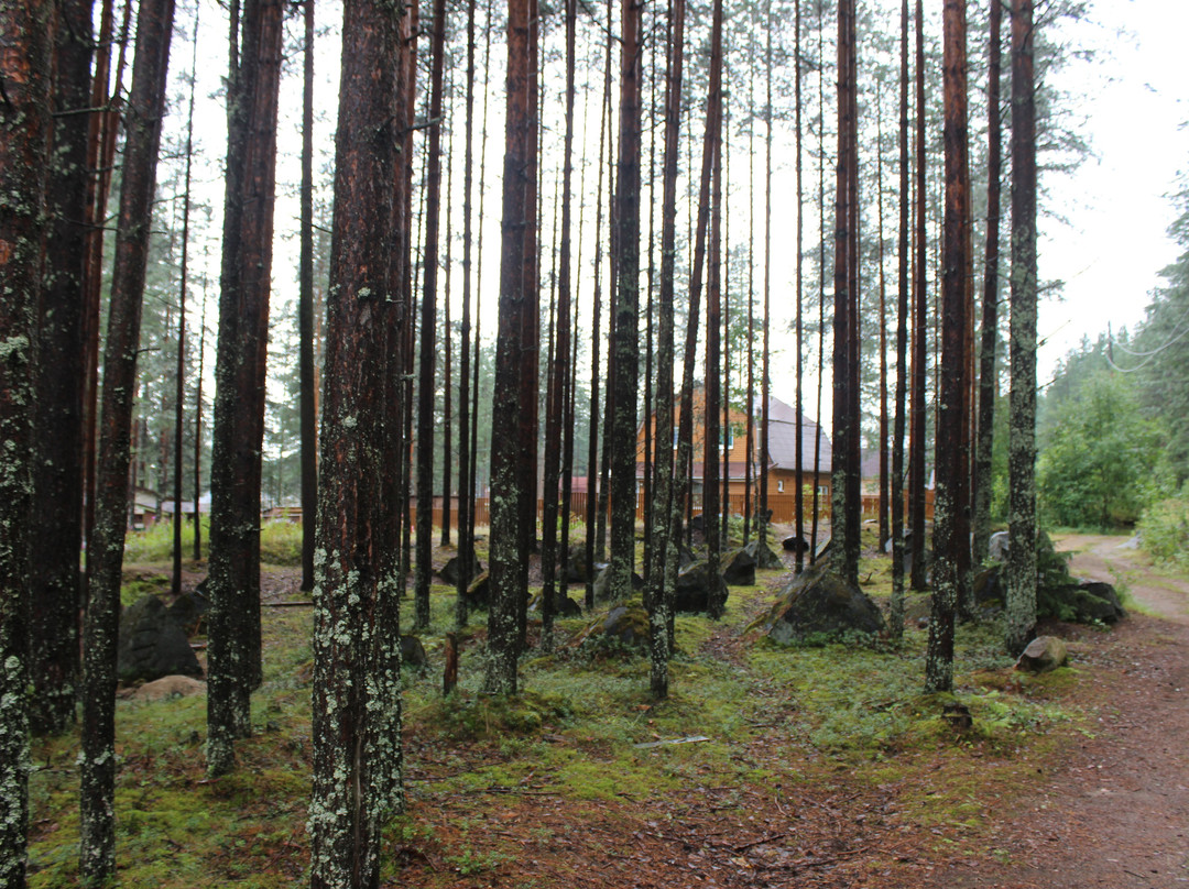 Medvezhyegorsk Fortified景点图片