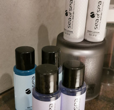 希奥多酒店主图