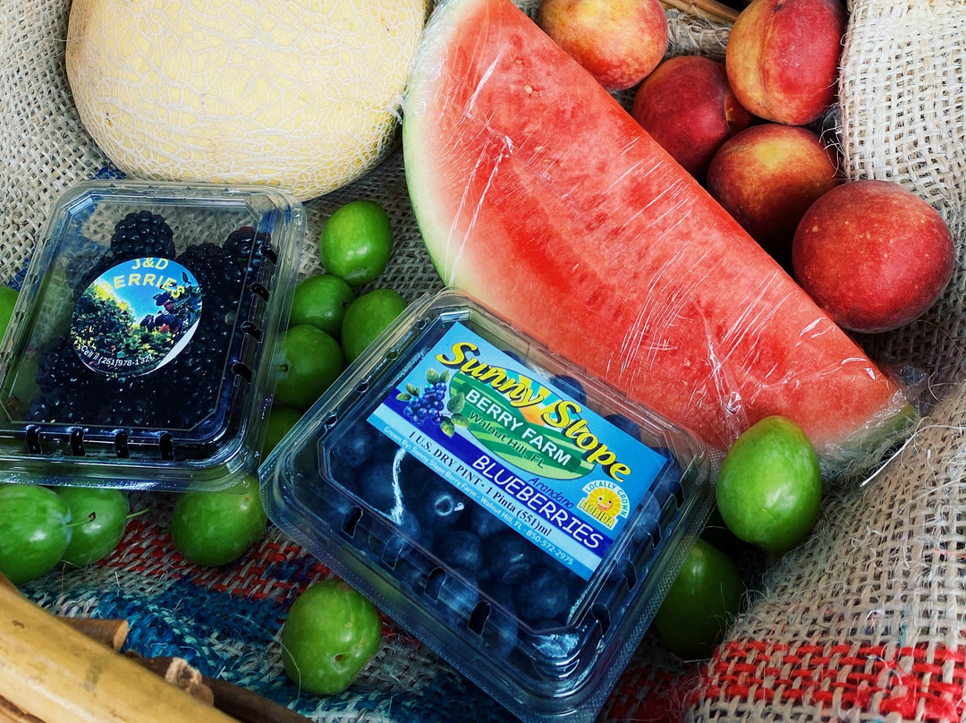 The Farm-彭萨科拉必去景点