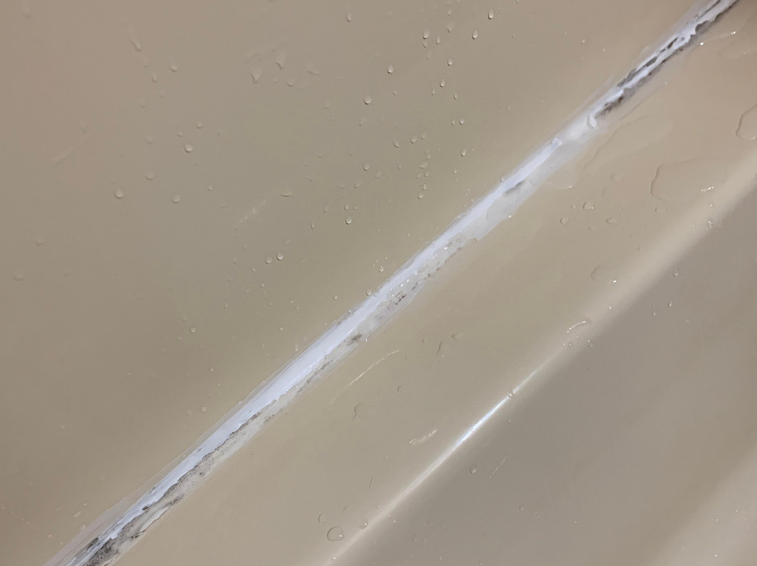 The Rose of the Lake主图