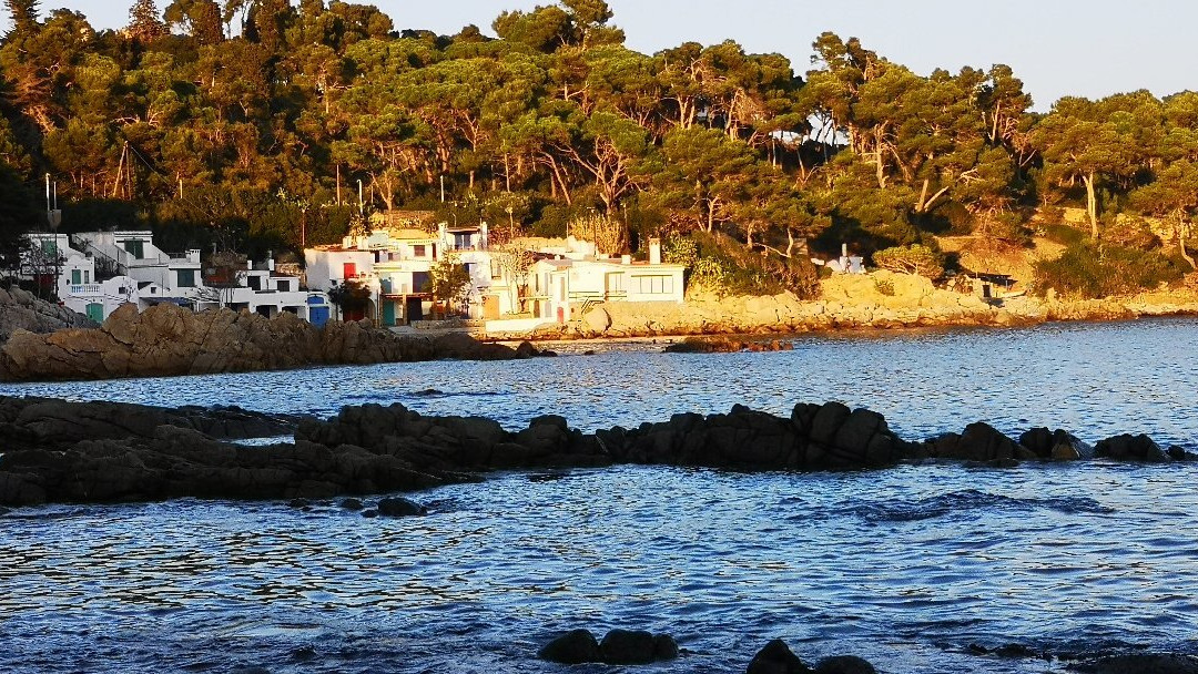 La Cala S'Alguer景点图片