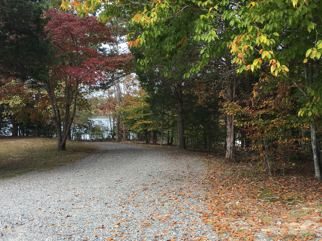 Lake Anna State Park景点图片