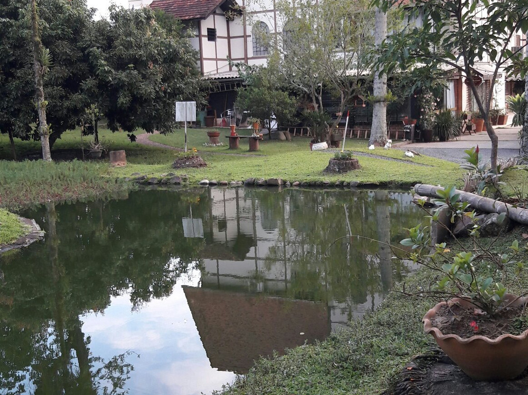 Hotel Steinhausen主图