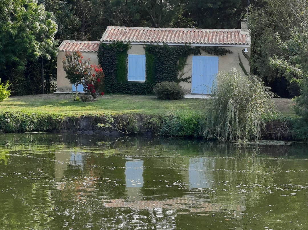 Le Marais Poitevin景点图片
