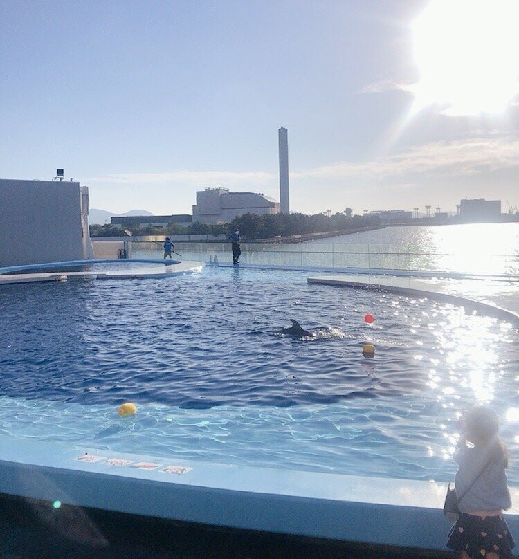 Shikoku Aquarium景点图片